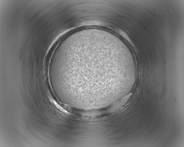 X0000078891116200612111758