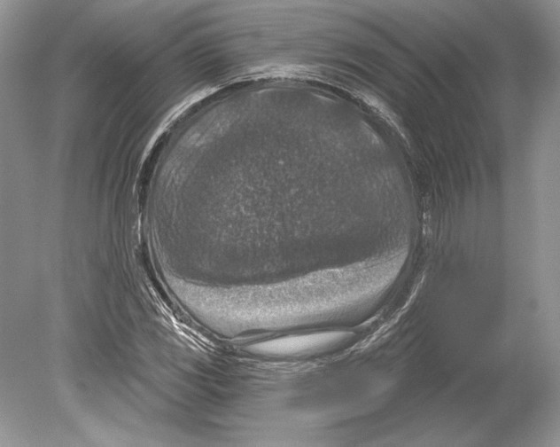 X0000078891117200612111758