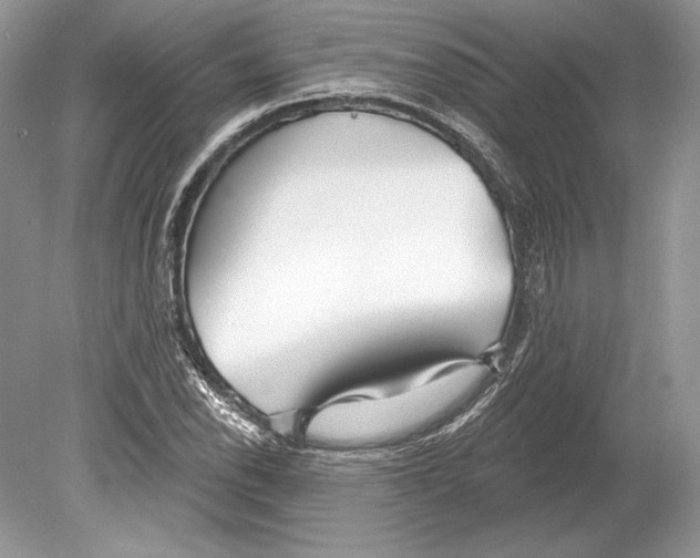 X0000078891118200612111758