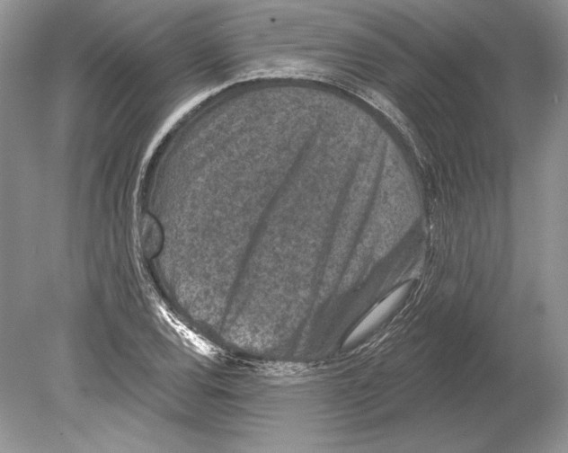 X0000078891120200612111758