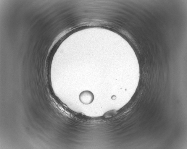 X0000078891122200612111758