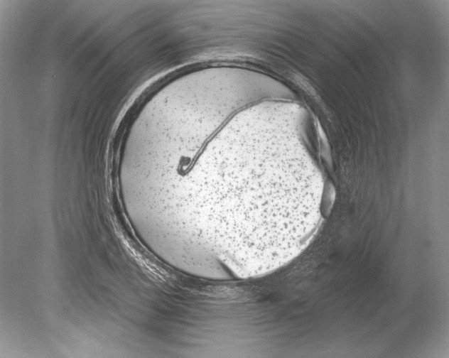 X0000078891124200612111758