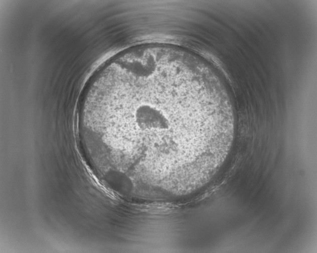 X0000078891125200612111758