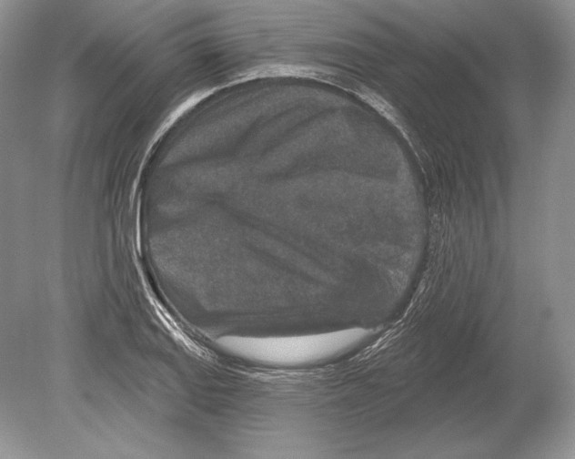 X0000078891127200612111758