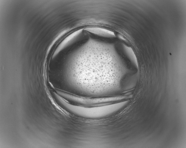 X0000078891128200612111758