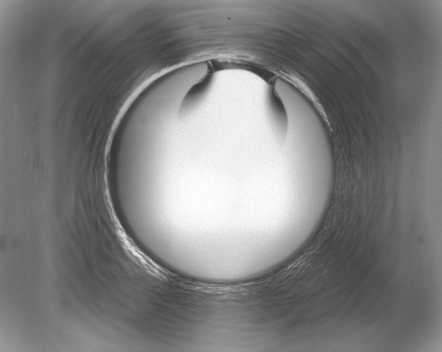 X0000078891132200612111758