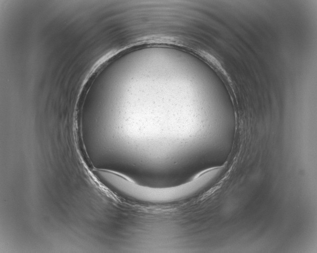 X0000078891133200612111758