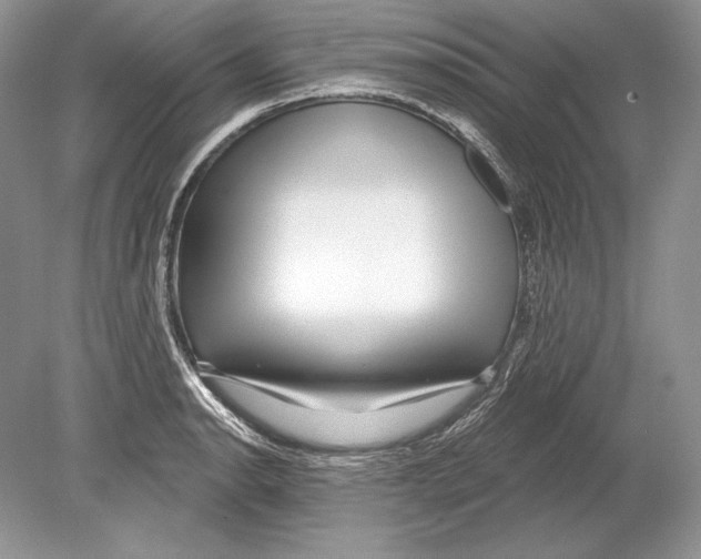 X0000078891134200612111758