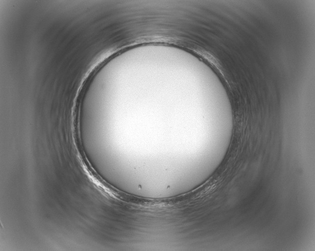 X0000078891135200612111758