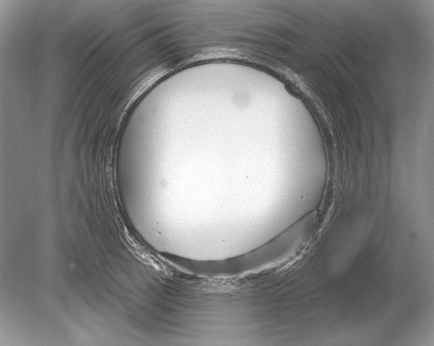 X0000078891137200612111758