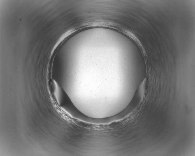 X0000078891138200612111758