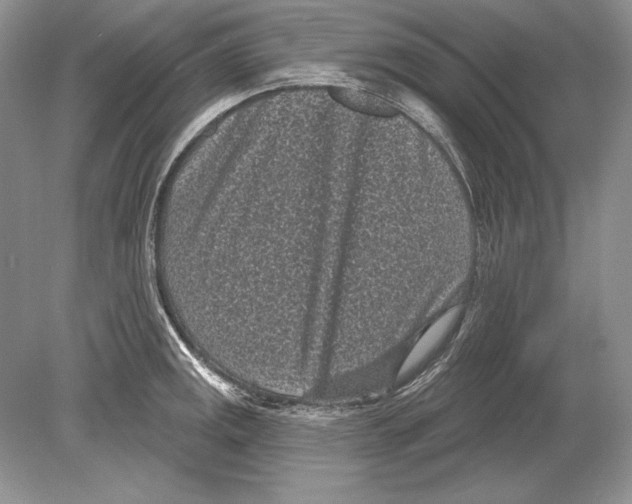 X0000078891141200612111758