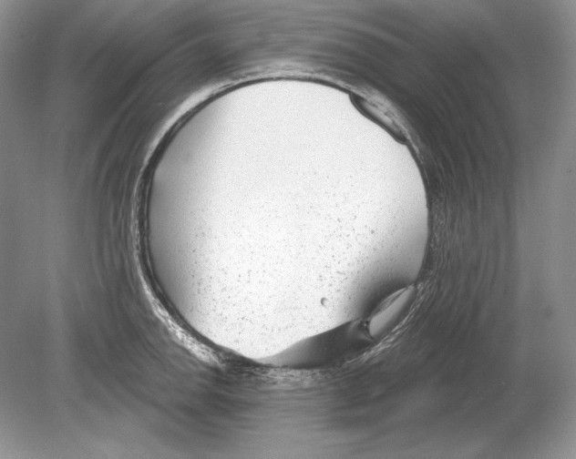 X0000078891142200612111758