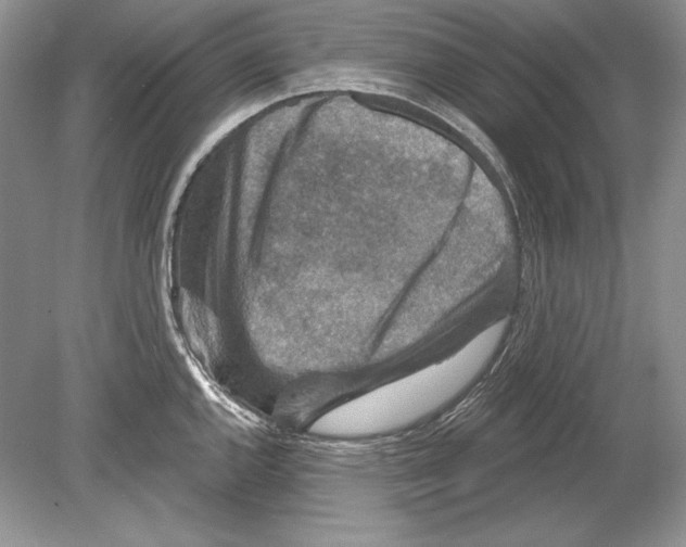 X0000078891144200612111758