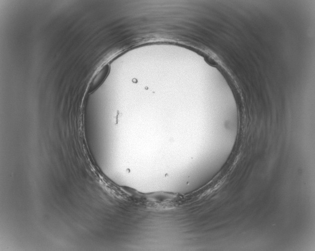 X0000078891145200612111758