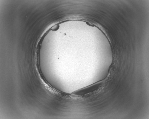 X0000078891147200612111758