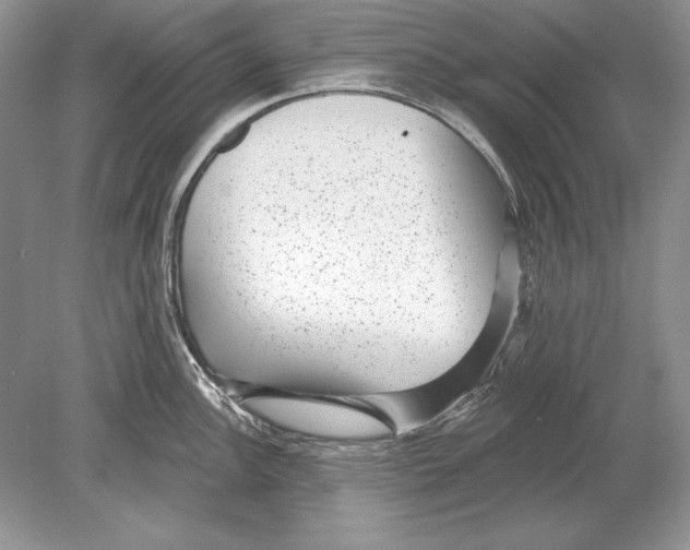 X0000078891148200612111758