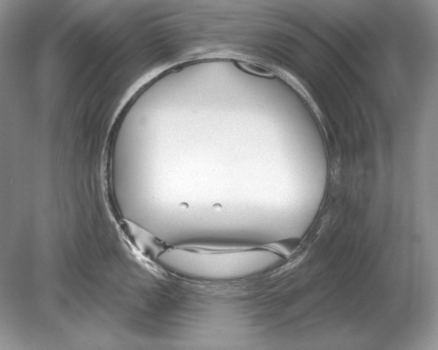 X0000078891149200612111758