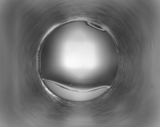 X0000078891151200612111759