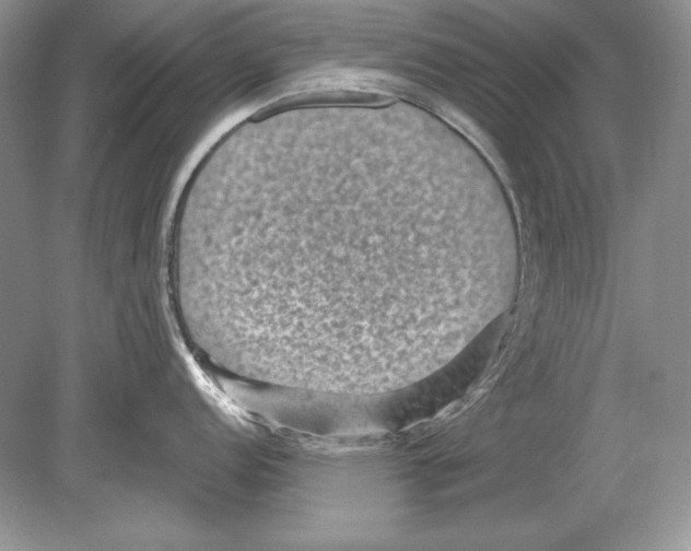 X0000078891152200612111759