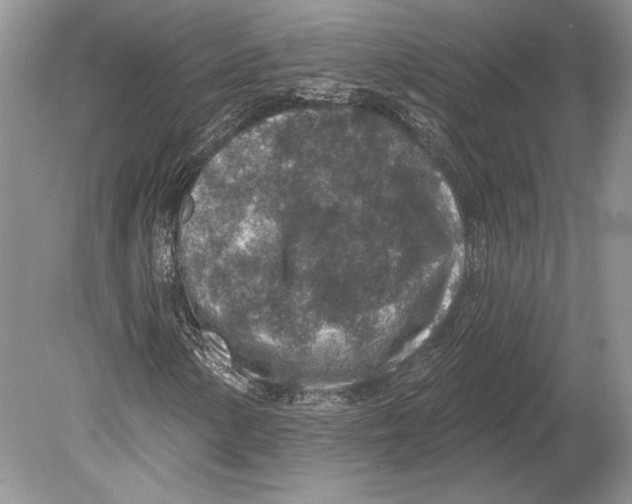 X0000078891154200612111758