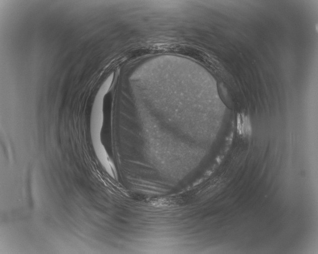 X0000078891155200612111758