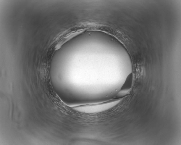 X0000078891157200612111758