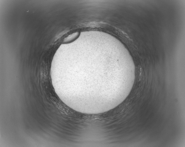 X0000078891158200612111758