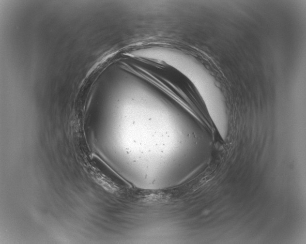 X0000078891160200612111758