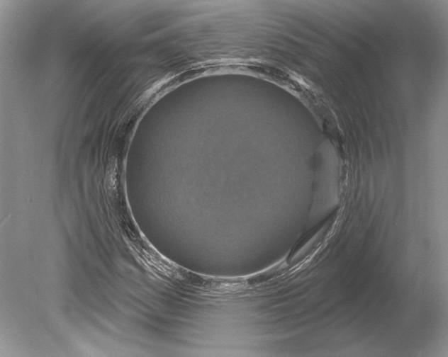 X0000078891161200612111758