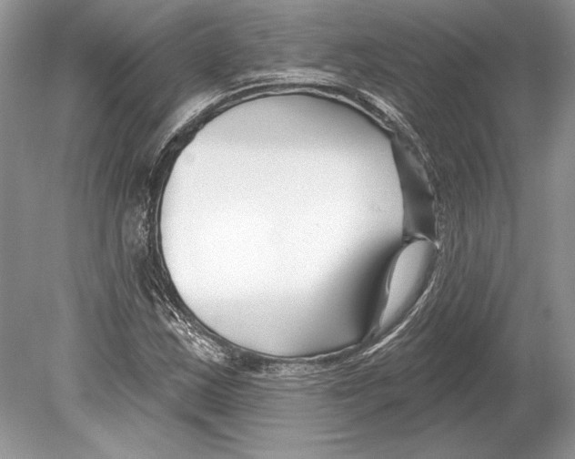 X0000078891163200612111758