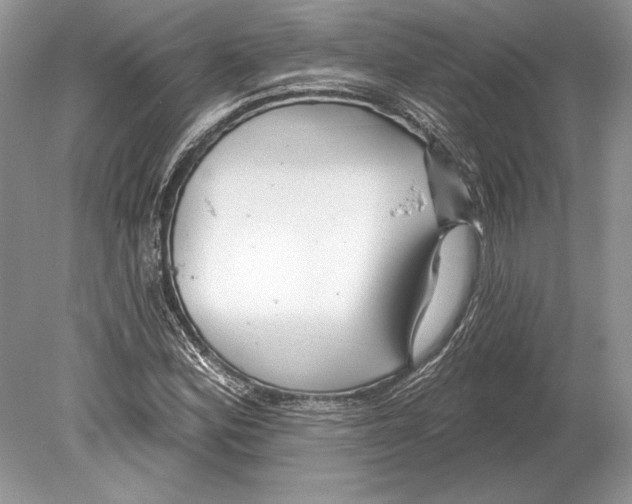 X0000078891164200612111758