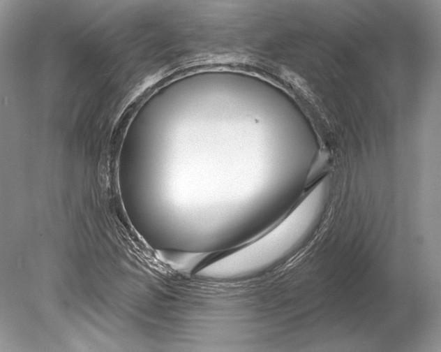 X0000078891165200612111758