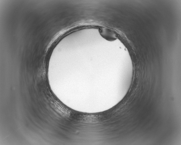 X0000078891167200612111758