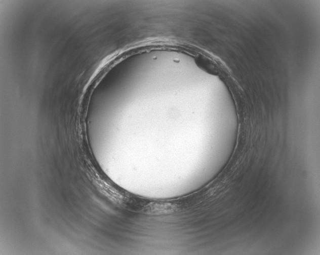 X0000078891168200612111757