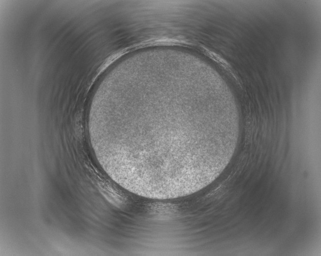 X0000078891170200612111757