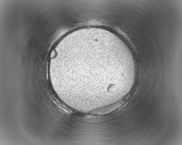 X0000078891171200612111757