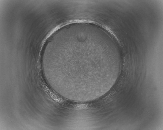 X0000078891173200612111757