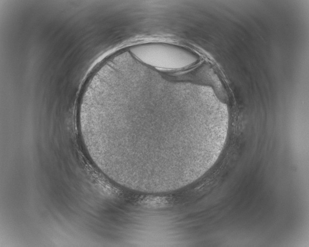 X0000078891174200612111757