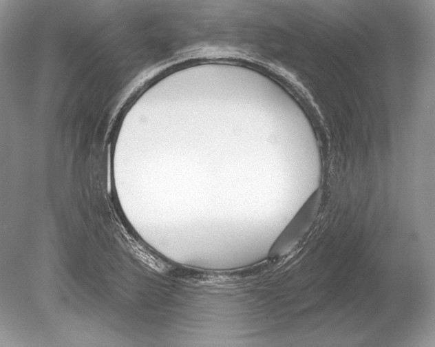 X0000078891175200612111757