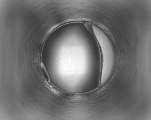 X0000078891177200612111757