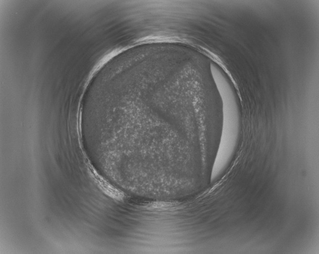 X0000078891179200612111757