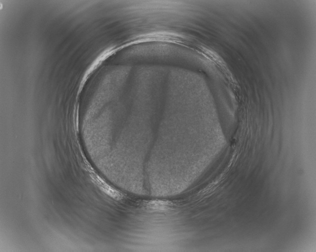 X0000078891180200612111757