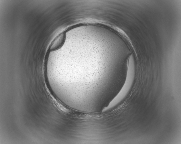 X0000078891183200612111757