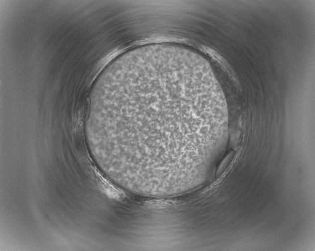 X0000078891185200612111757