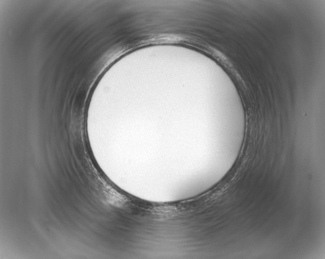 X0000078891186200612111757