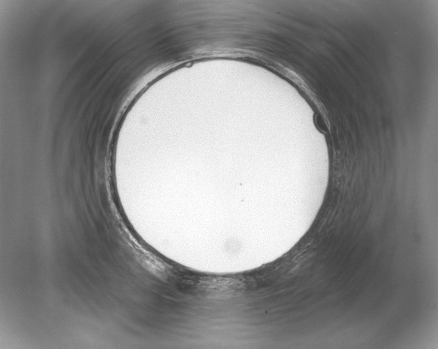 X0000078891187200612111757