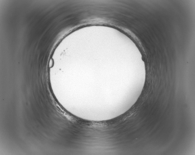 X0000078891191200612111757