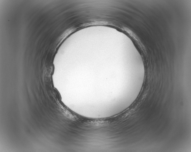 X0000078891193200612111757