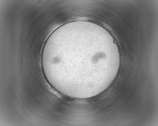 X0000078891194200612111757